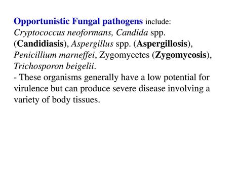 Medical Mycology Dr Hala Al Daghistani Ppt Download