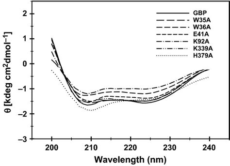 Periplasmic Glucose‐binding Protein From Pseudomonas Putida Csv86