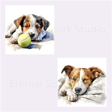 Watercolor Jack Russell Terrier Clip Art 10 High Quality 300 DPI