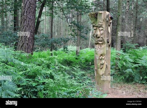 Woodland Sculpture Stock Photos And Woodland Sculpture Stock Images Alamy