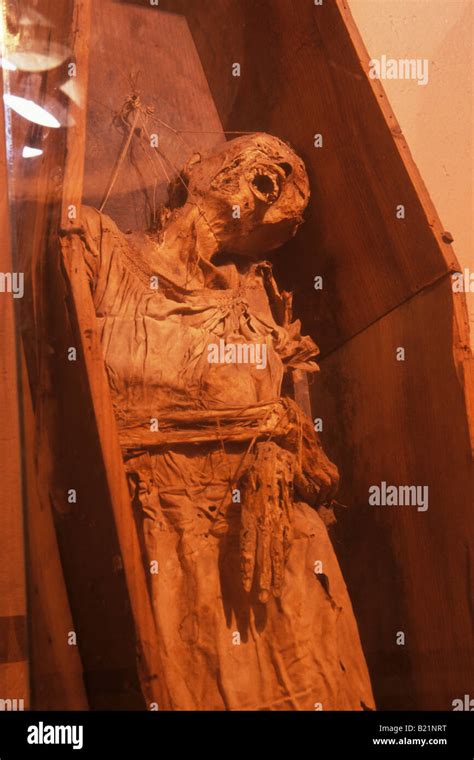 Mummy Museum Guanajuato Mexico Stock Photo - Alamy