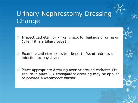 Ppt Urinary Nephrostomy Catheter Care Powerpoint Presentation Free