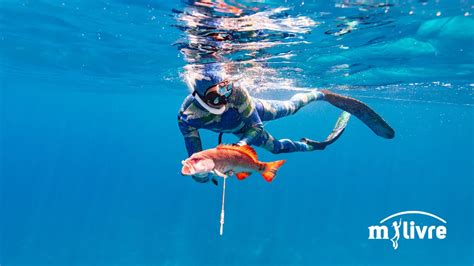 Aprenda A Pesca Sub De Gra A Cursos De Mergulho Livre Curso De Pesca