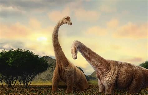 Top Famous Dinosaurs With A Long Neck Dinosaur Universe