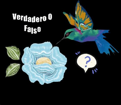 verdadero gifs    gif  giphy