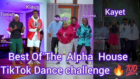 Thee Alpha House Best Of November Tiktok Dance Challenge Youtube