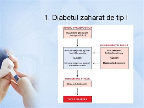 Diabetul Zaharat Diabetul Zaharat Diabet N Greac Nseamn