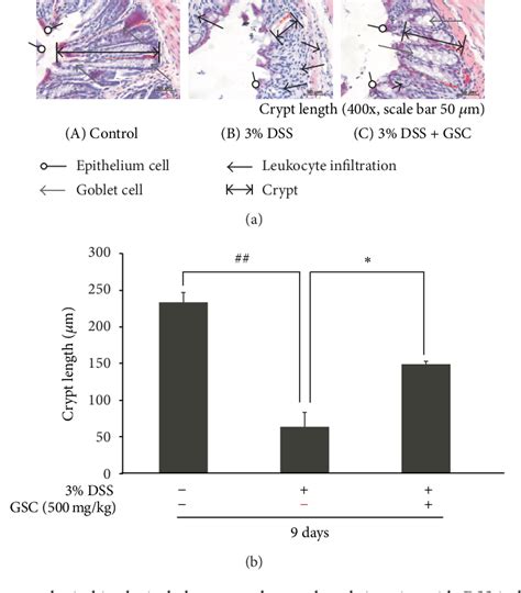 Figure 1 From Ethanol Extract Of Cordyceps Militaris Grown On