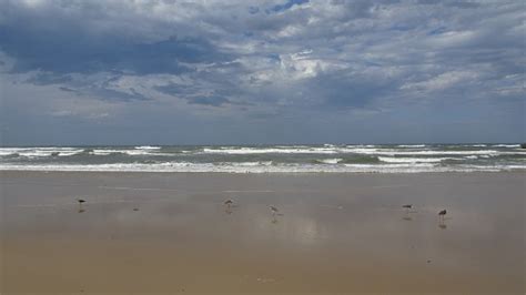 Evans Head Beach Nsw 5 Stock Photo - Download Image Now - Australia ...