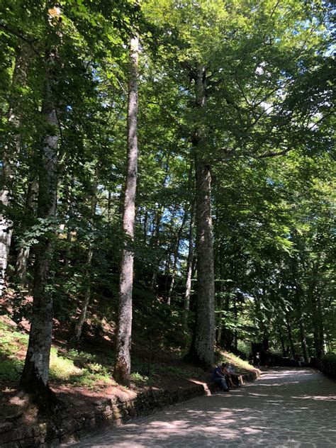 Parco Nazionale Delle Foreste Casentinesi A Italia Tour E Visite