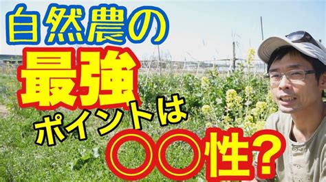 【自然農とsdgs】無農薬無肥料栽培最大のメリットは〇〇性？ ファームラン