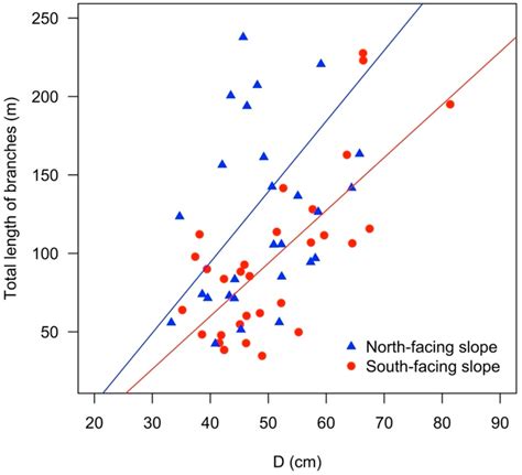 Forests Free Full Text Does Slope Aspect Affect The Aboveground Tree Shape And Volume