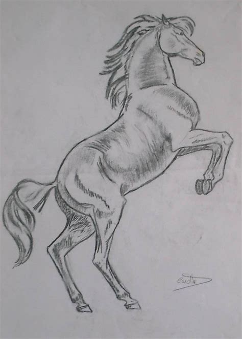 cheval - dessin au crayon | Disegni di cavalli, Disegno di animali ...