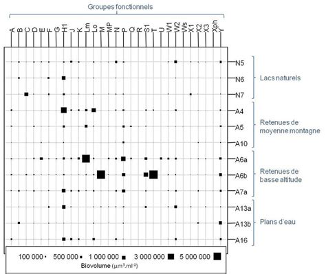 Biovolumes De Chaque Groupe Fonctionnel Identifi Par Type De Plans