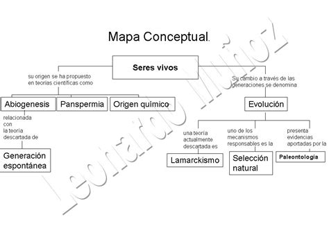 Un Mapa Conceptual De Los Seres Vivos