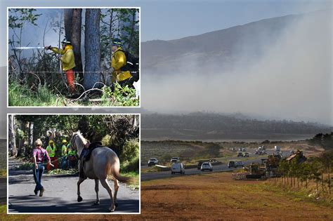 Hawaii wildfires burn homes and force evacuations, while strong winds ...