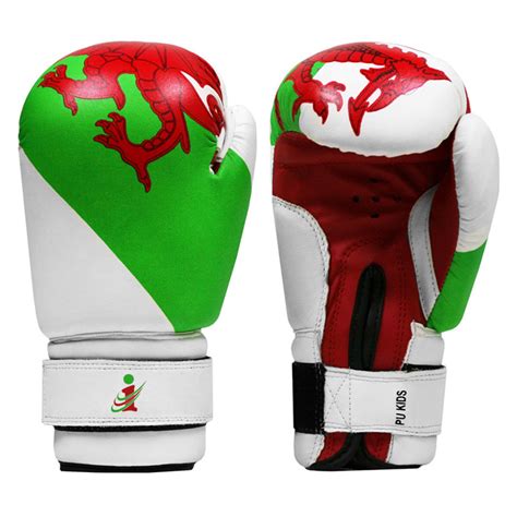 Boxing Gloves – Ibraz Sports