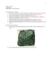 Metamorphic Rock Assignment Docx 1 GEOL 1121 Lab Spring 2021