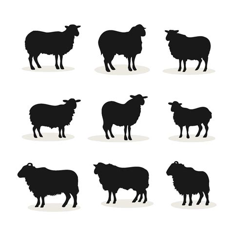 Set Sheep silhouette vector illustration 23379184 Vector Art at Vecteezy