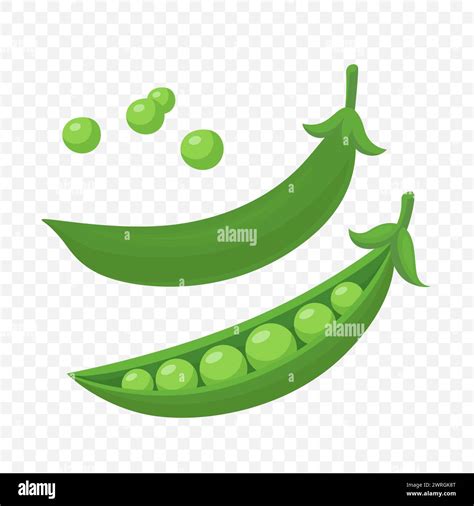 Vector Green Pea Pod Green Peas Design Template Cartoon Flat Peas