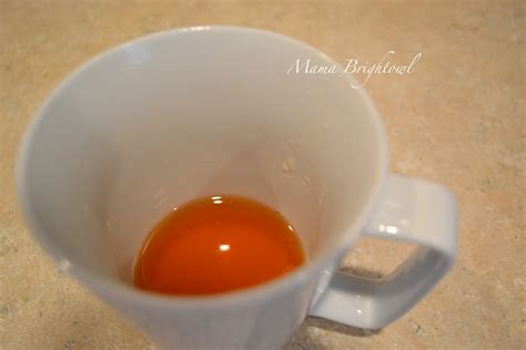 Nightowl Brightowl Hot Toddy For Grown Up Colds