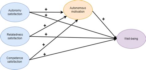 Paths To Autonomous Motivation And Well Being Understanding The