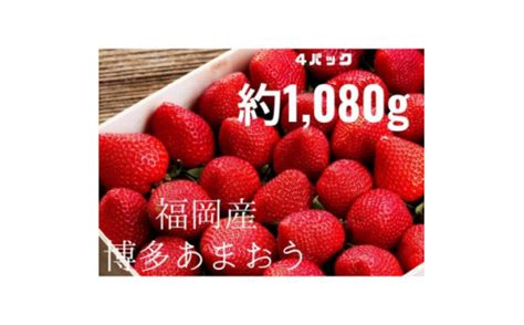 ＜2024年1月より順次発送＞農家直送 朝採り新鮮いちご＜博多あまおう＞約270g×4粕屋町【1465692】 Tふるさと納税