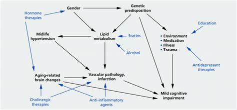 Hypothetical Etiological Model Of Mild Cognitive Impairment Mci In