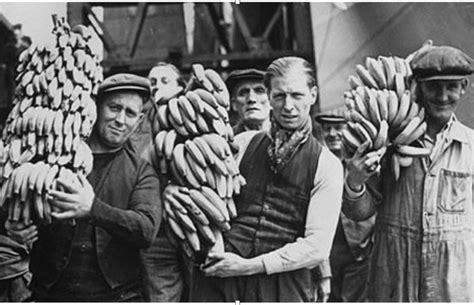 Diversibananas - Gros Michel Bananas