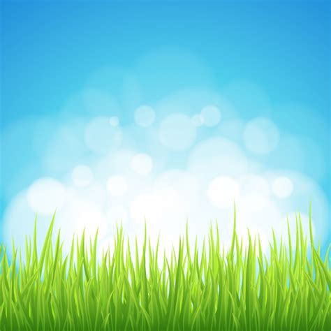 Fondo De Primavera Hierba Verde Bokeh Vector Premium