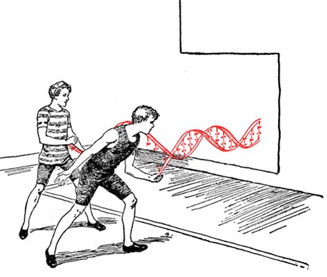 Hmerides 02 04 1953 Francis Crick Y James Watson Anuncian El