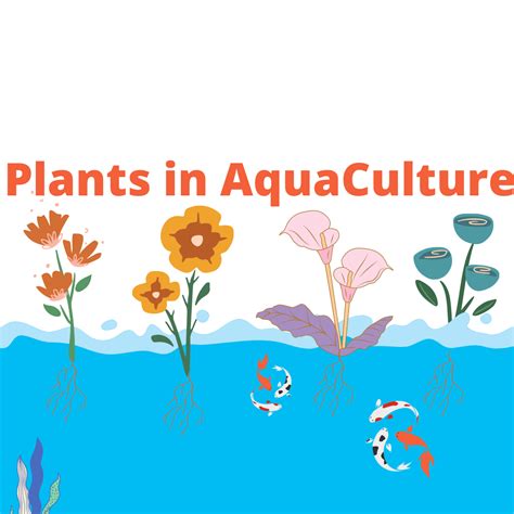 The 8 Best Plants Grow In Aquaponics & Hydroponics System - Agro Pro