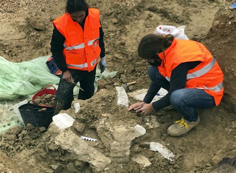 Lure Arqueología S L Empresa de estudios arqueológicos