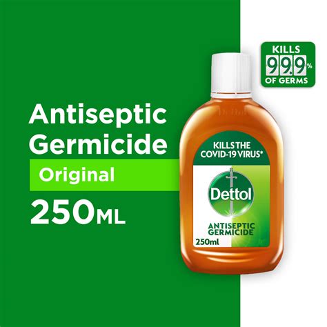 Dettol Antiseptic Germicide Liquid 250ml Kills 99 9 Of Germs Lazada Singapore