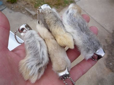 Lucky Rabbit's Foot Genuine Rabbit's Feet Key Chains Qty Feet For Good Luck ...