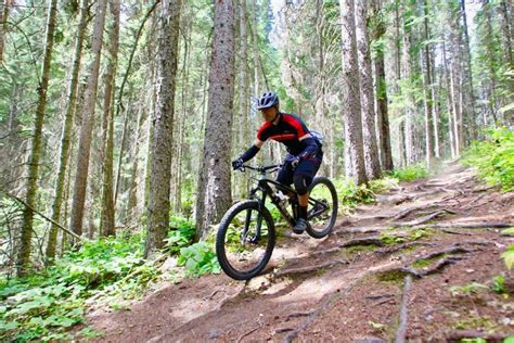 The Best Prince George Mountain Biking Trails To Explore Prince