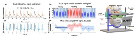 Single Photon Detection Of Deep Tissue Perturbations Computational Optics Lab