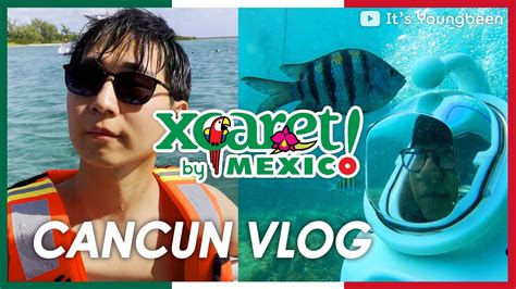 Cancun Vlog Xcaret Tour Snorkeling Sea Turtle Sea Trek Buffet