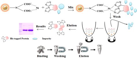 IDA-His-tagged Protein Purification Kit