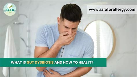 What is Gut Dysbiosis And How to Heal It?