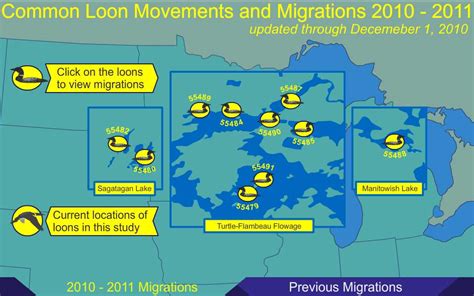 TYWKIWDBI ("Tai-Wiki-Widbee"): Tracking the migration of the common loon