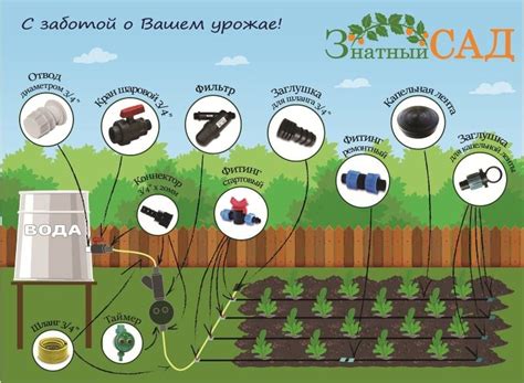 Полив газона: описание, правила и нормы