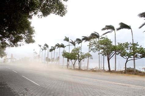 Fuertes vientos y altas temperaturas pronóstico para esta semana