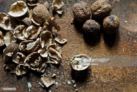 Empty Nut Shell Photos And Premium High Res Pictures Getty Images