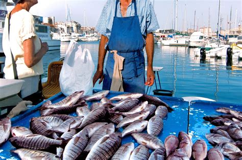 Pesca In Arrivo Nuove Restrizioni Per Il Mar Adriatico Dissapore