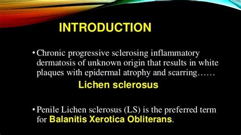 Balanitis Xerotica Obliterans Bxo Penile Lichen Sclerosis