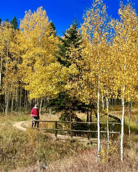 Fall Foliage Hikes in Golden CO | Hiking Trails & State Parks