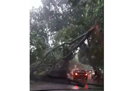 Hujan Dan Angin Kencang Pohon Tumbang Tutup Jalan Di Pasar Lenteng Agung