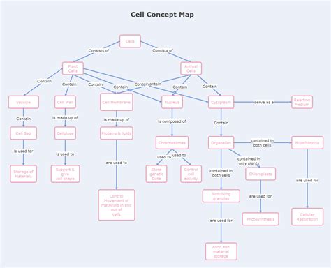 Cell Concept Map Worksheet