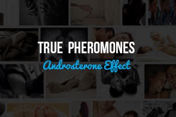 Androsterone Pheromone: It’s Effects on Humans - True Pherom